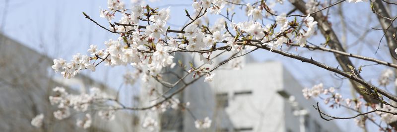 十大网投正规信誉官网十大网投靠谱平台学术型研究...